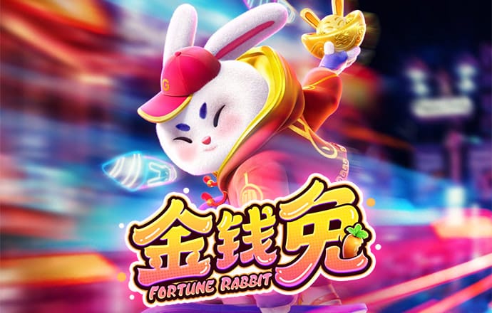 状元红高手心水